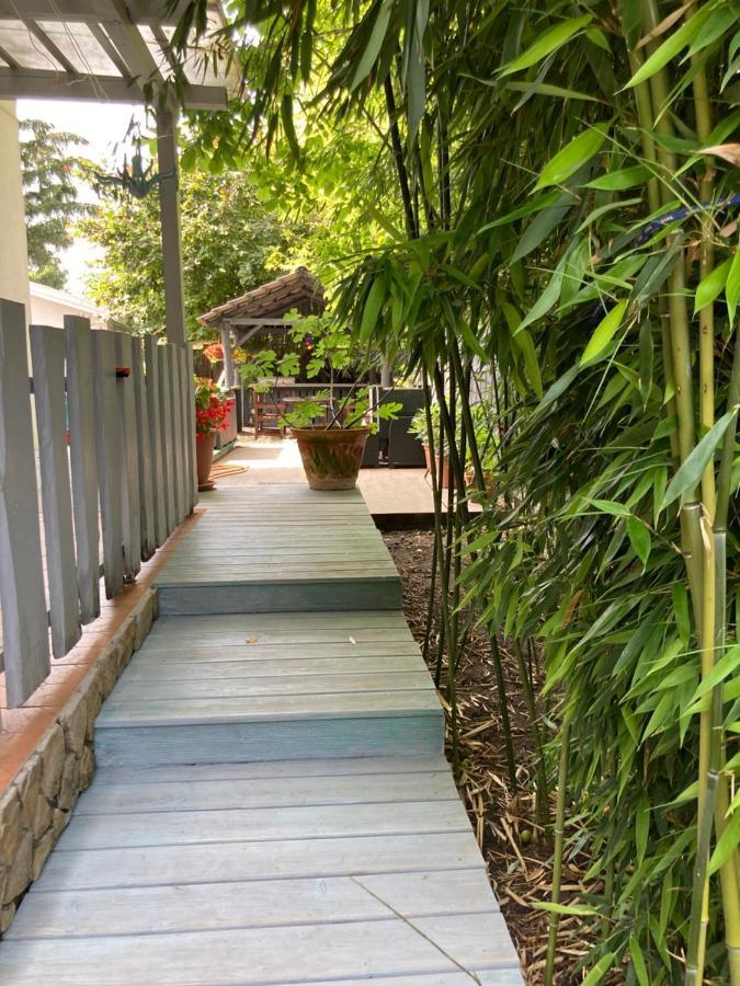 希欧福克Pentz House公寓 外观 照片
